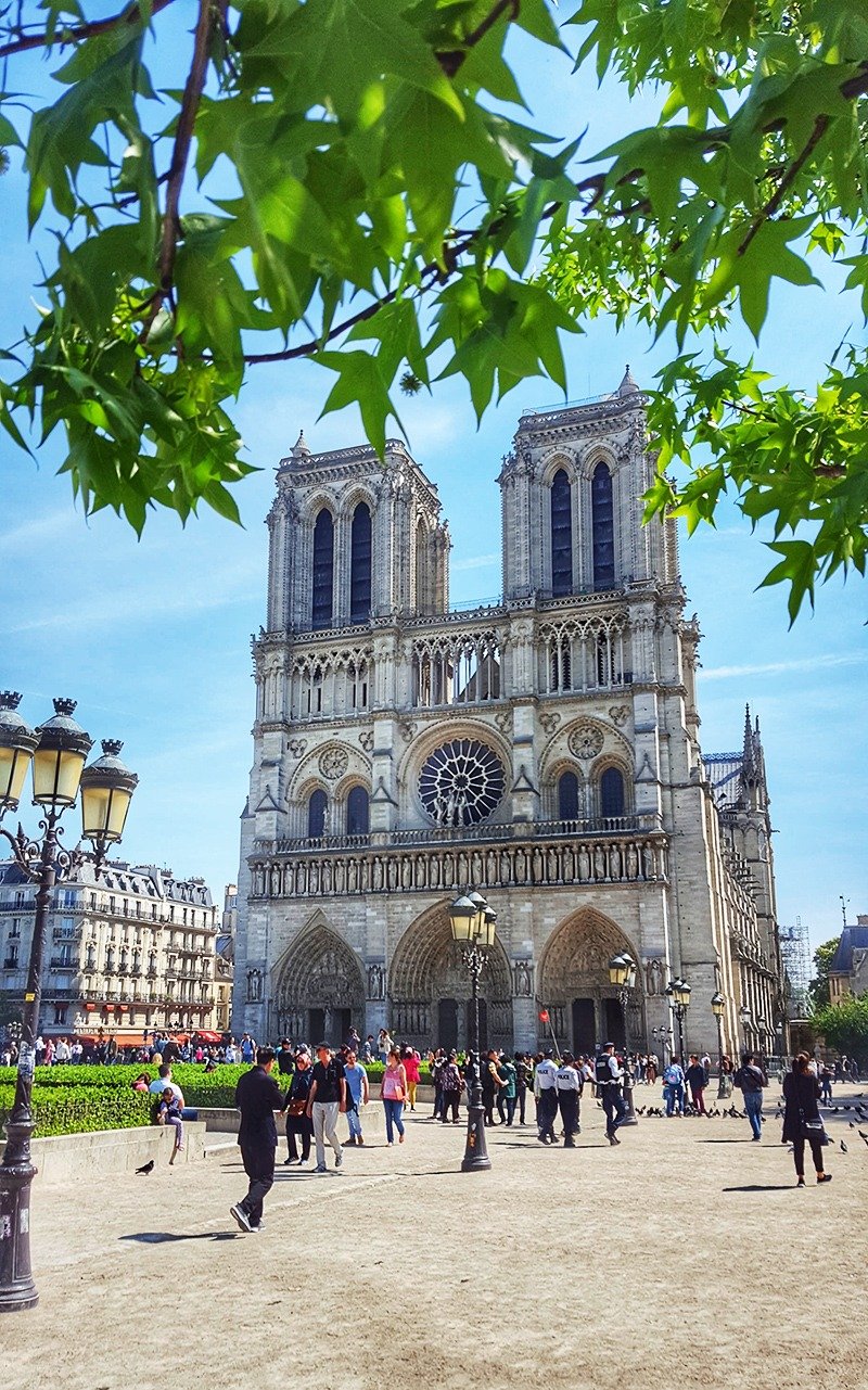 Torres da Catedral Notre-Dame de Paris - Suba e Aprecie