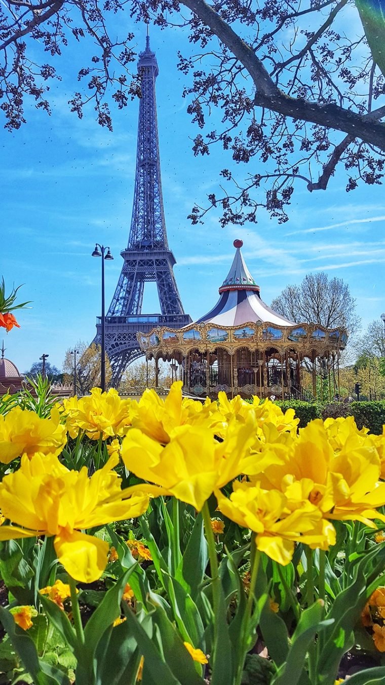 Hotel em Paris | Torre Eiffel com flores